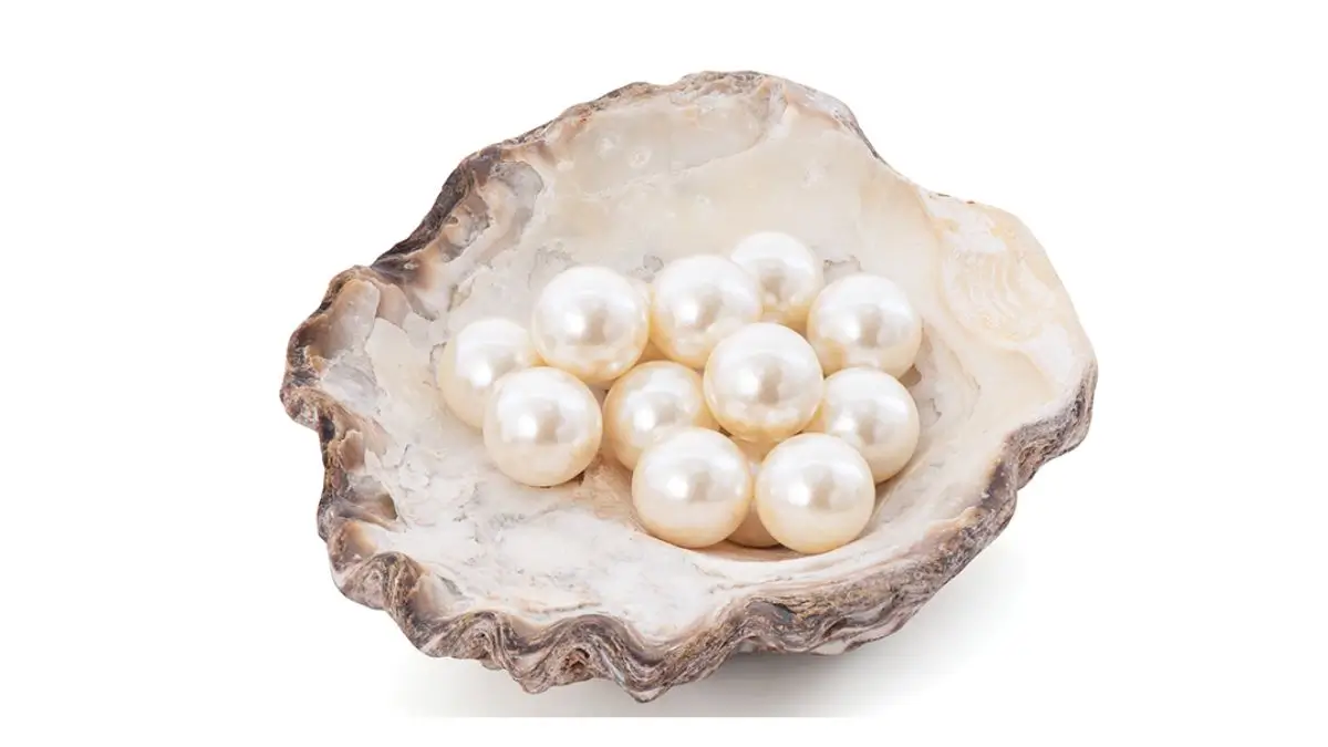 Hazaribag pearl farming cluster India