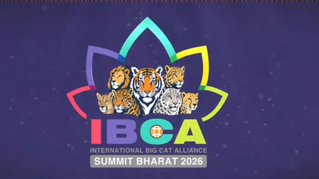 international big cat alliance summit