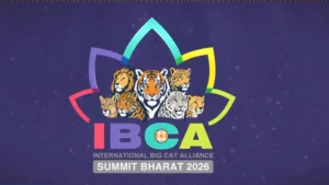 international big cat alliance summit