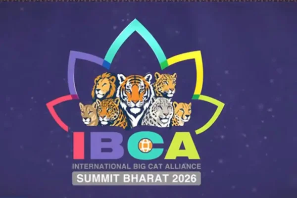 international big cat alliance summit