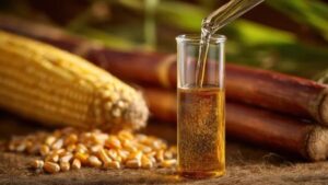 maize ethanol production India