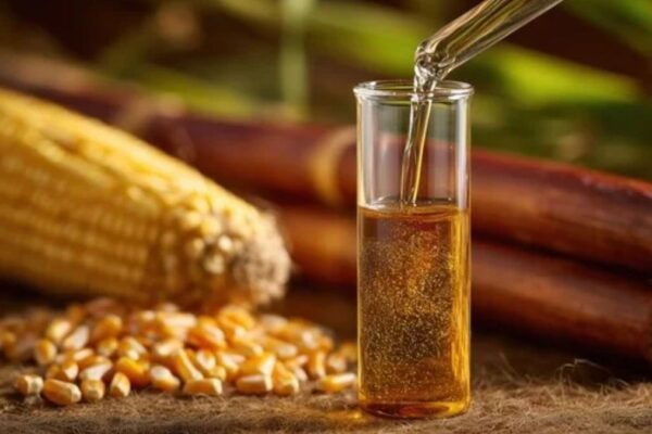 maize ethanol production India