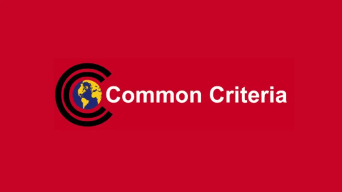 CCDB Chair 2026–2028