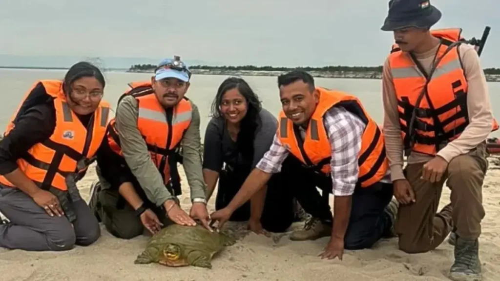 india first satellite tagged turtle