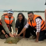india first satellite tagged turtle