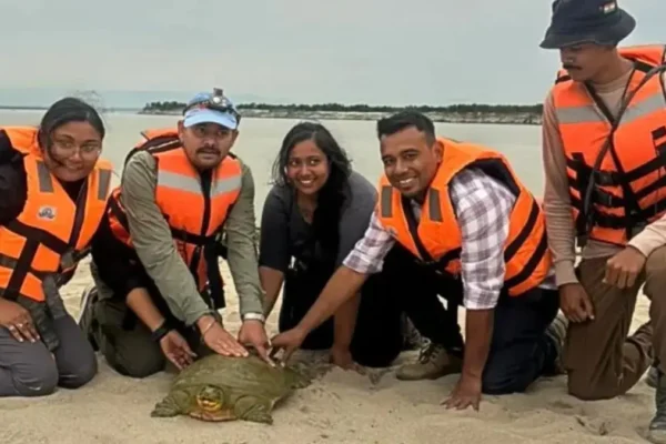 india first satellite tagged turtle