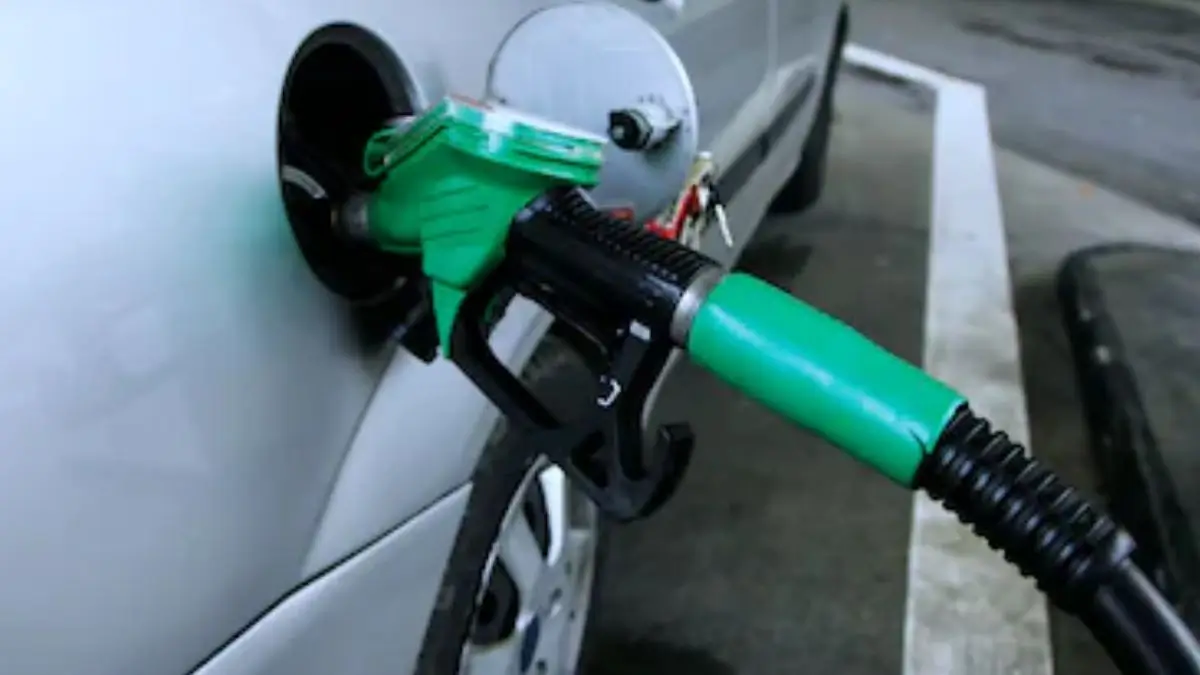 E30 petrol standards India