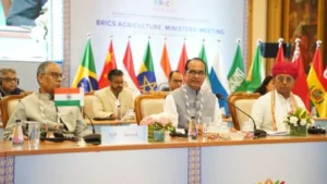 brics indore declaration 2026