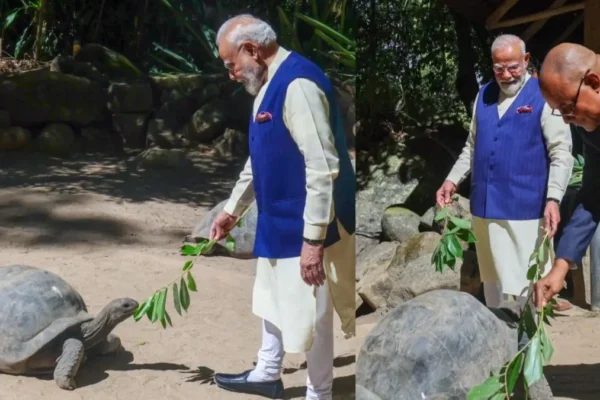 Jonathan world's oldest tortoise