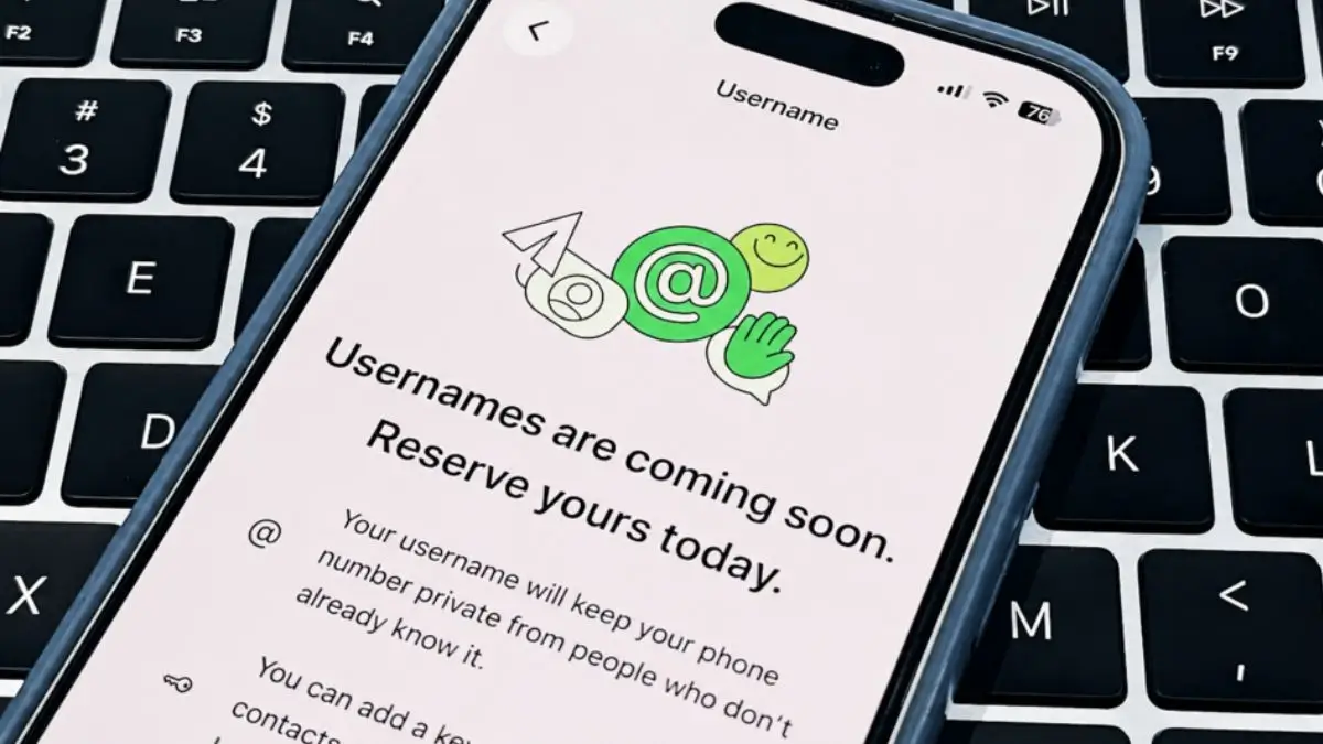 government asks Meta WhatsApp pause