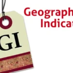 madhya pradesh gi registrations 2025