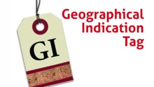 madhya pradesh gi registrations 2025