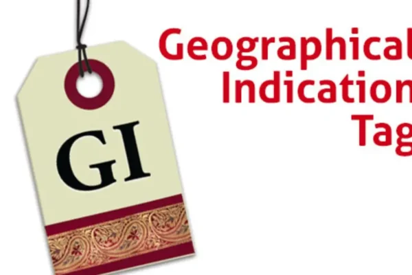 madhya pradesh gi registrations 2025