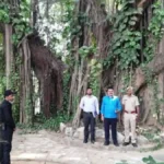 700-Year-Old Munger Banyan Tree