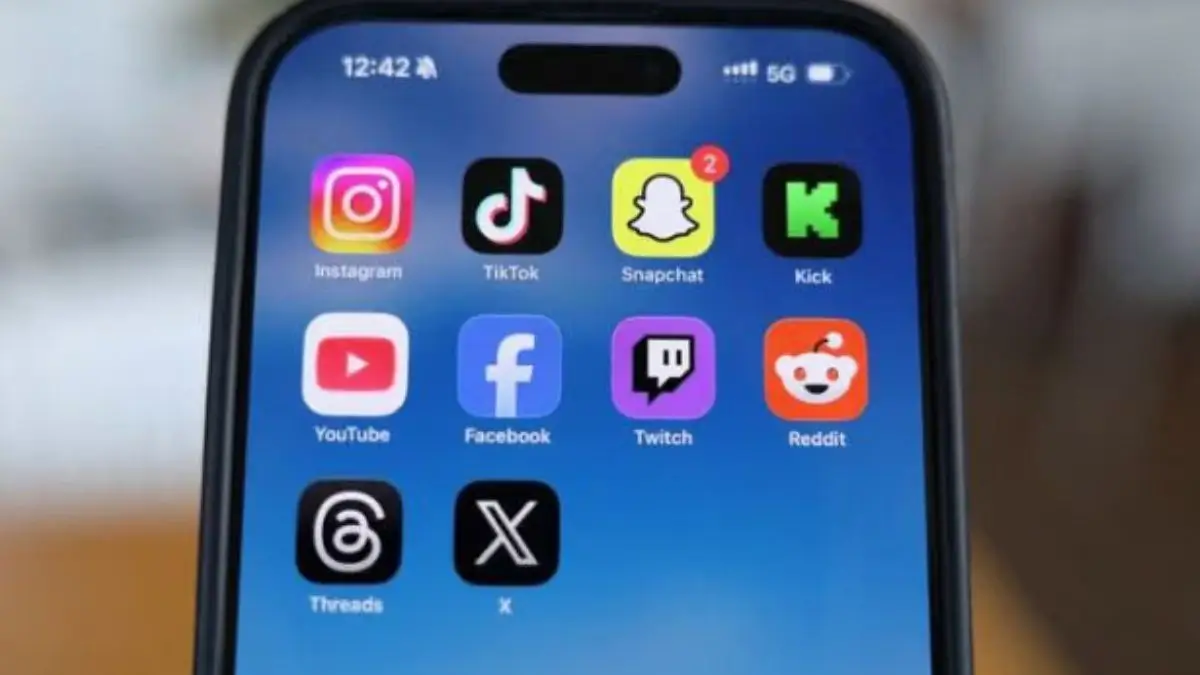 France social media ban