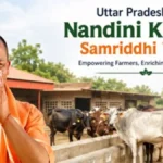 Mini Nandi Farmer Prosperity Scheme 2026