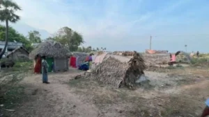 Killai climate resilient village Tamil Nadu