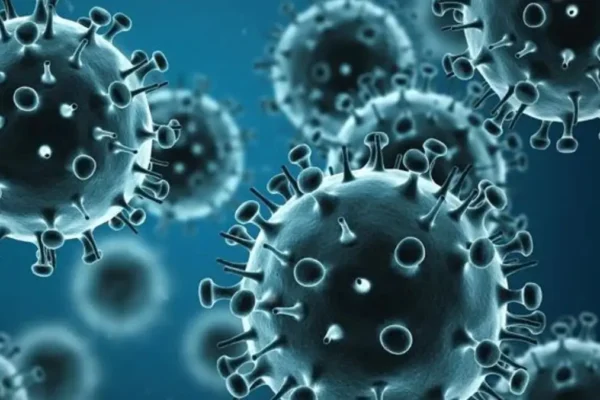 H1N1 swine flu India