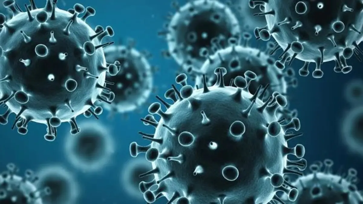 H1N1 swine flu India