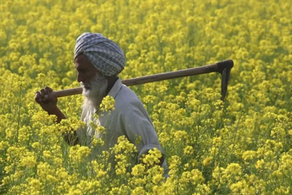 PM-AASHA scheme 2026