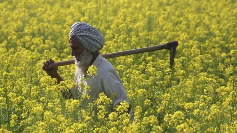PM-AASHA Scheme 2026: Objectives, MSP Benefits, Components & Latest Updates