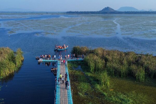 भारत जैव विविधता चैंपियन