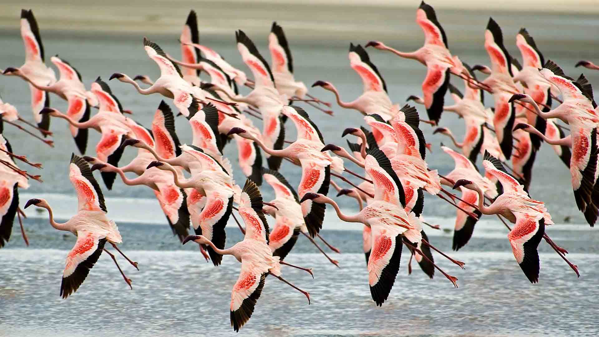 साइलेंट वैली नेशनल पार्क