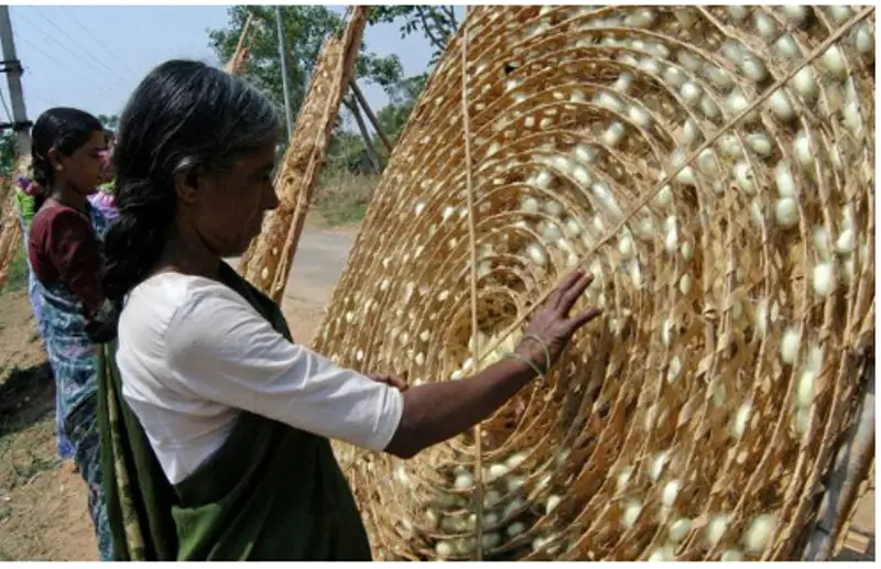 रेशम उत्पादकों के लिए बीमा योजना