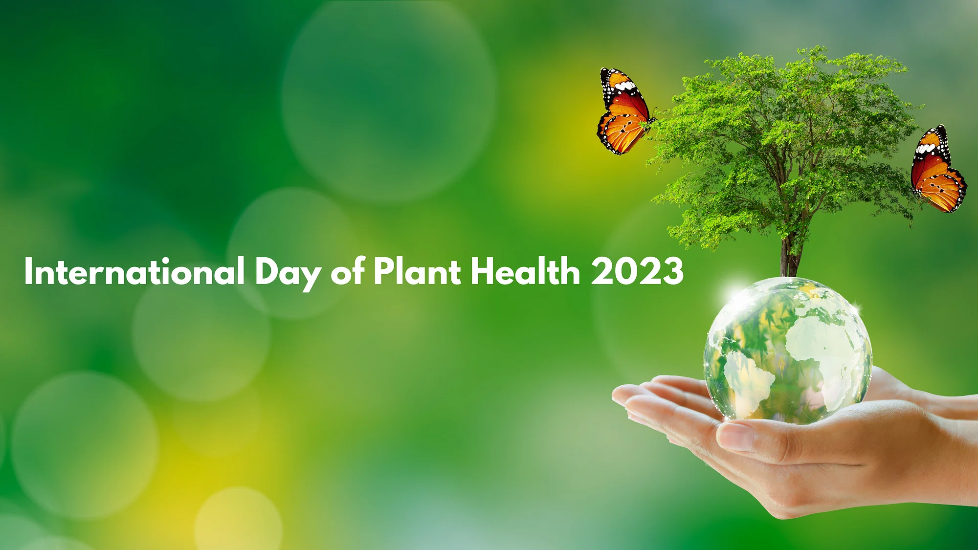 पादप स्वास्थ्य का अंतर्राष्ट्रीय दिवस