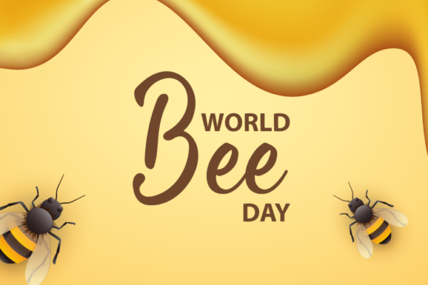 विश्व मधुमक्खी दिवस 2023