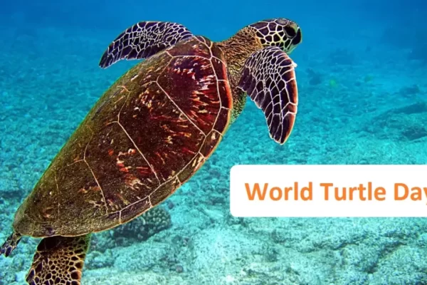 विश्व कछुआ दिवस 2023