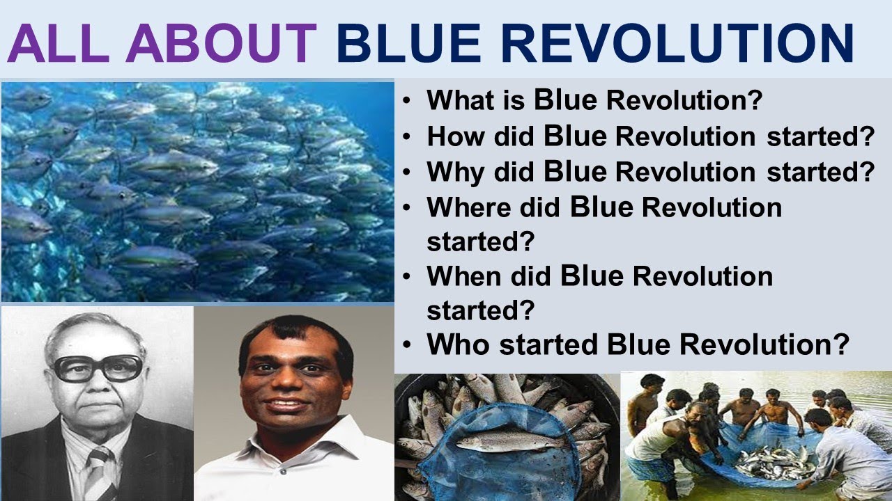 "डॉ. हीरालाल चौधरी"