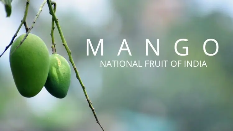 भारत का राष्ट्रीय फल