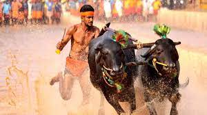 "बेंगलुरु कंबाला दौड़"