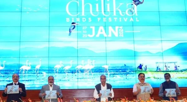 चिल्का पक्षी महोत्सव