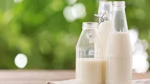 भारत शीर्ष दूध उत्पादक राज्य