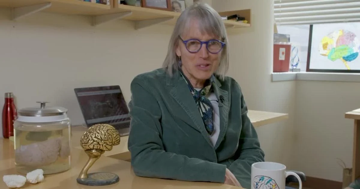 कावली पुरस्कार 2024 के विजेता