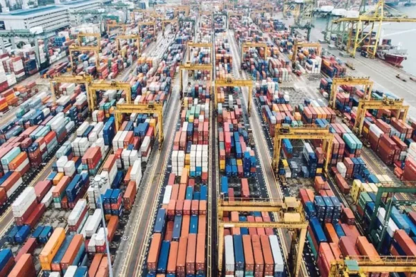 दीनदयाल पोर्ट ट्रस्ट के अध्यक्ष