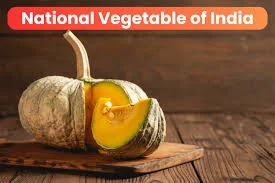 भारत की राष्ट्रीय सब्जी कद्दू