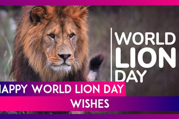 विश्व शेर दिवस का महत्व