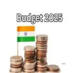 भारत मिनी बजट 2025 विश्लेषण