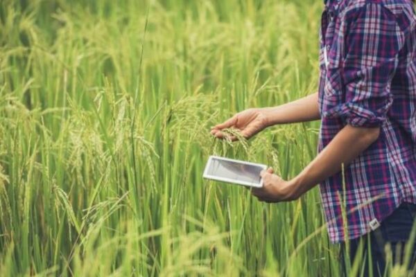 भारत में कृषि-तकनीक स्टार्टअप की भूमिका2
