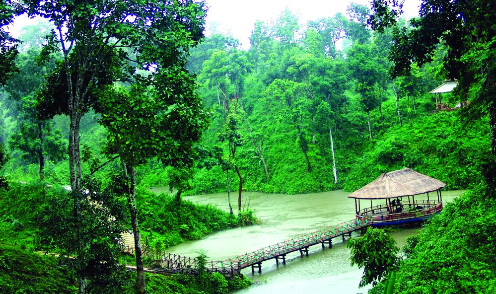 रोवा वन्यजीव अभयारण्य स्थान