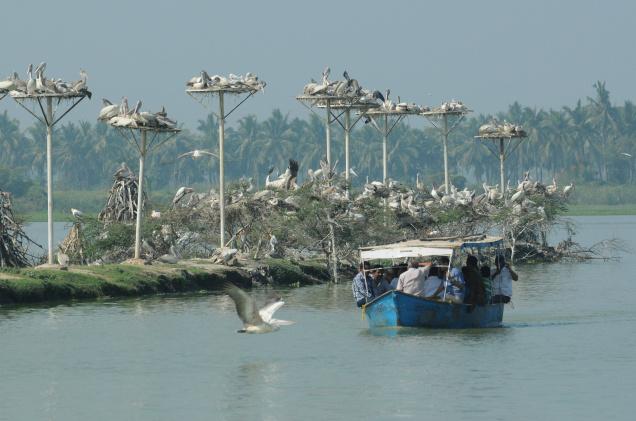 कोल्लेरु झील स्थान आंध्र प्रदेश