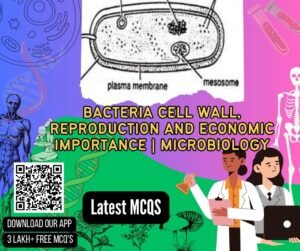 Bacteria cell wall, Reproduction and Economic Importance _ Microbiology