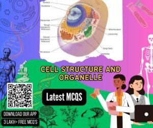 Cell Structure And Organelle