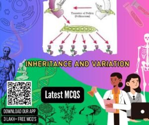 Inheritance And Variation