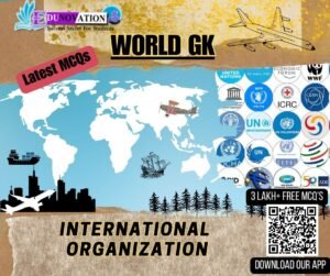 International Organization