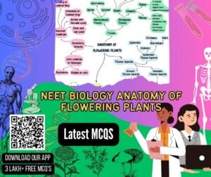 Neet Biology Anatomy Of Flowering Plants