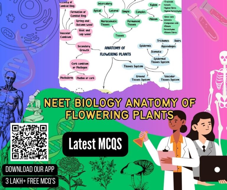 Neet Biology Anatomy Of Flowering Plants Biology GK MCQ MCQs